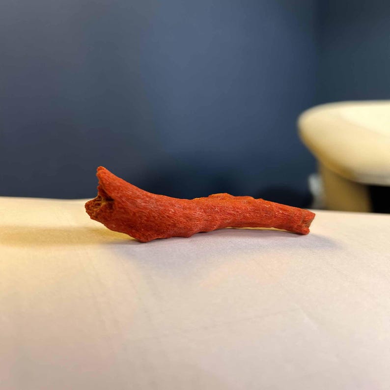 K&ouml;nnte beinhalten: Ein kleines, strukturiertes, rot-oranges Holzst&uuml;ck, m&ouml;glicherweise ein dekoratives Element oder ein Naturgegenstand. Das Holz hat eine raue Oberfl&auml;che und eine unregelm&auml;&szlig;ige Form, die auf einer wei&szlig;en Oberfl&auml;che mit dunklem blauem Hintergrund liegt.