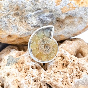Könnte beinhalten: Ein Ring mit einem polierten, spiralförmigen Ammoniten-Fossil mit durchscheinenden gelben und lohfarbenen Kammern, eingefasst in eine glatte, silberfarbene Metallfassung, die dem geschwungenen Umriss der fossilen Schale folgt.