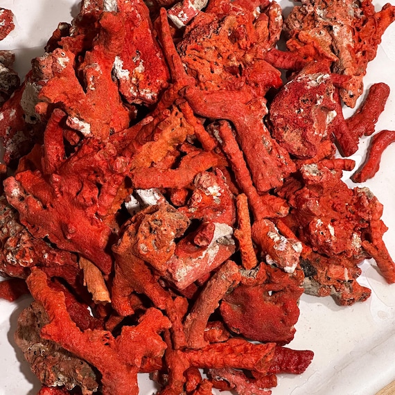 Handmade   Natural Italian Red Coral Branch Gemstone for Jewelry Making, Astrological Healing Stone Supply
