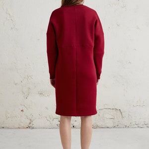 Burgundy Sweater Dress, Winter Womens Clothing, Cotton Dress, Sweatshirt Dress, Jumper Dress For Women, Plus Size Clothing, Maternity Dress image 5