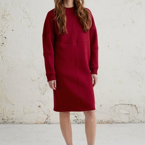 Burgundy Sweater Dress, Winter Womens Clothing, Cotton Dress, Sweatshirt Dress, Jumper Dress For Women, Plus Size Clothing, Maternity Dress image 3