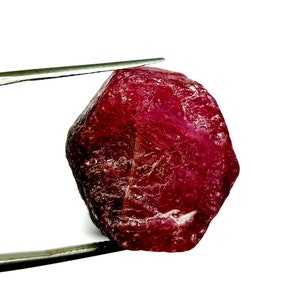 Peut inclure: Une grosse pierre précieuse de rubis rouge foncé avec une surface brute et facetée. Le rubis est tenu par une pince sur un fond blanc.