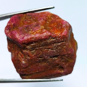 May include: A rough, uncut ruby gemstone with a deep red hue and a layered, textured surface. The ruby is held by tweezers against a white background, showcasing its natural, raw form. The stone displays variations in color, from deep red to brown.