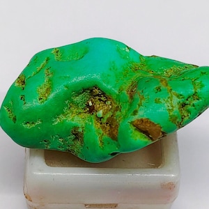 May include: A raw, vibrant turquoise stone with a bright green hue and natural brown matrix inclusions. The irregular, organic-shaped mineral specimen rests securely on top of a small, square, white plastic display base with a recessed centre.