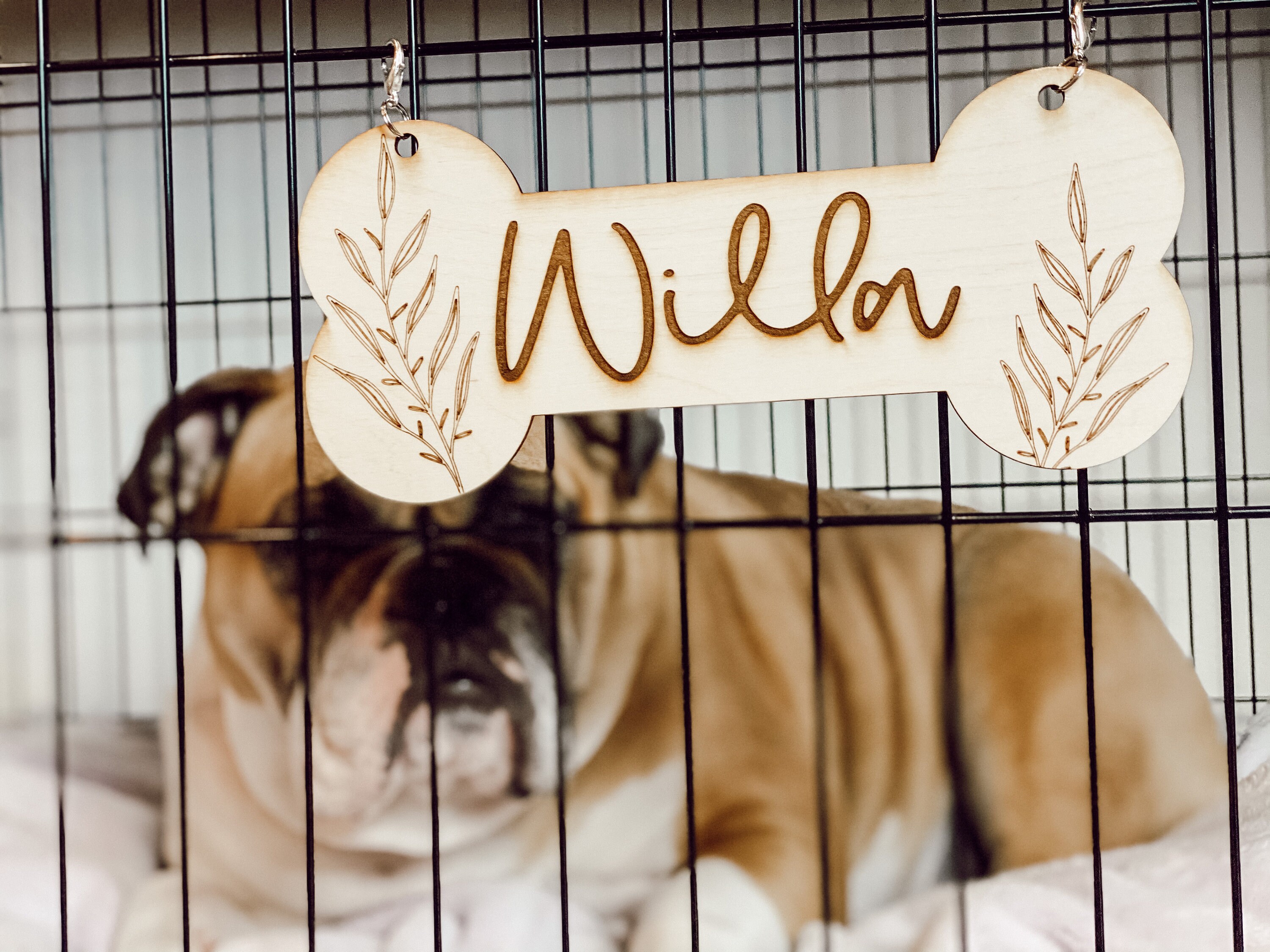Personalized Dog Kennel Tag Dog Crate Tag Dog Dad Dog Etsy