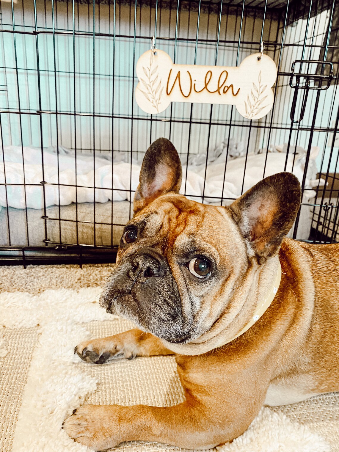 Personalized Dog Kennel Tag Dog Crate Tag Dog Dad Dog Etsy