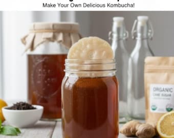 BIO KOMBUCHA SCOBY mit Starter Tee / Probiotische Teekultur/ Fermentation SELBER