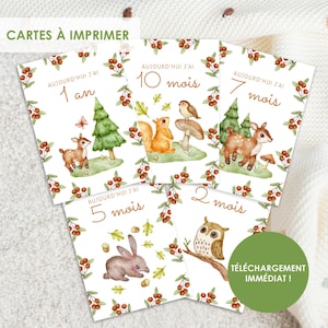 Cartões de marcos do bebê, cartões de mês do bebê, cartão de bebê de animais da floresta, cartão de gravidez, cartão de nascimento, cartão de primeiro ano, cartão para impressão