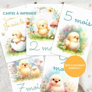 Cartes étapes bébé, carte étape bébé poussin, carte naissance, cartes mois bébé, carte bébé aquarelle, carte naissance, carte grossesse