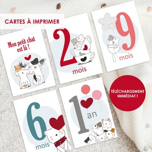Cartes étapes bébé, à imprimer, cartes mois bébé, carte chat, carte petit chat, naissance, grossesse