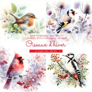 31 JPG Oiseaux en hiver | oiseaux de Noël | clipart oiseaux | oiseaux aquarelle | Cardinal rouge | Oiseaux France | sublimation oiseau