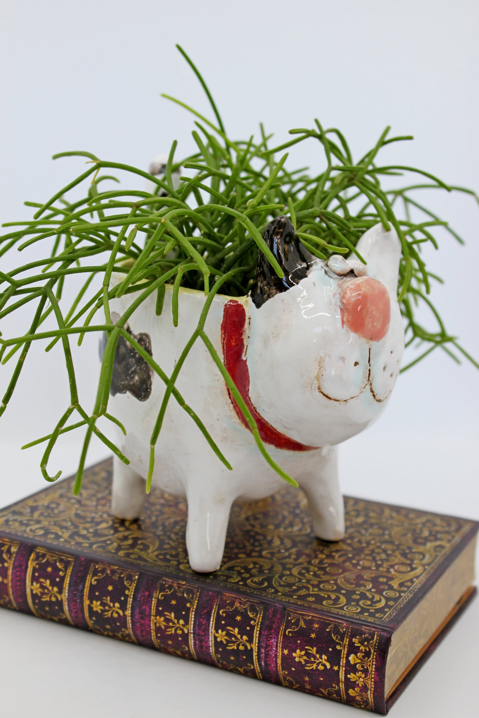 Ceramic cat flower pot for plants cactus or succulents cat Etsy