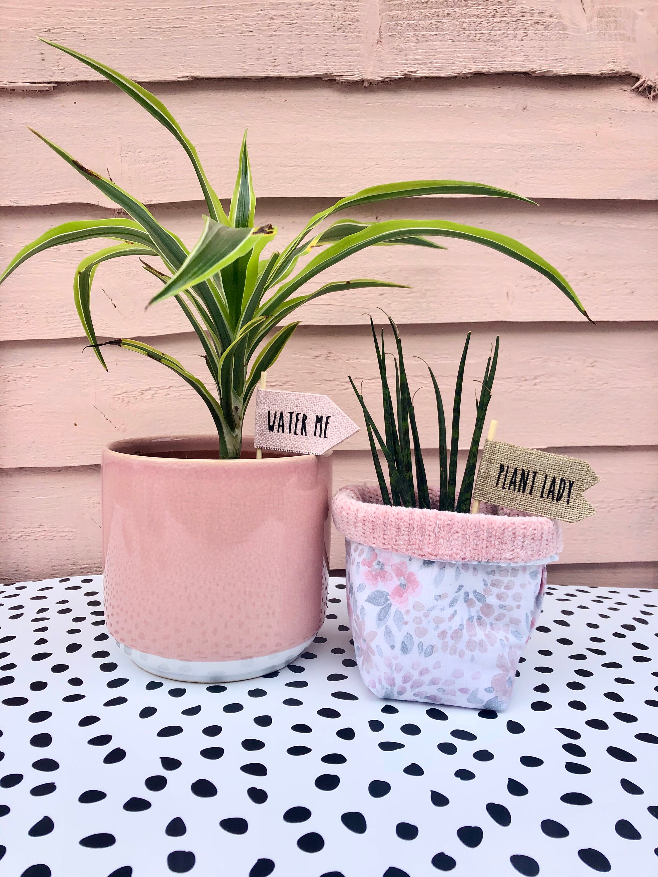Cute Plant Signs 3 Signs for 5 Pounds Cute Plant Decoration Etsy