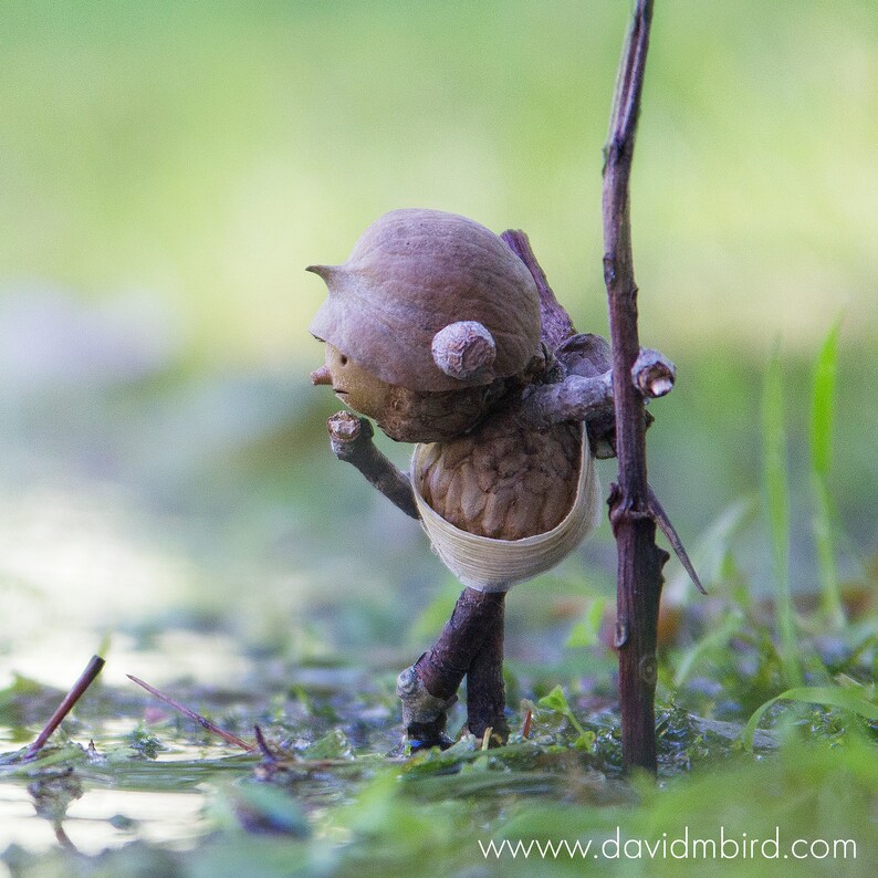Eichel Mann mit Frosch wunderliche Wandkunst Fotografie Etsy