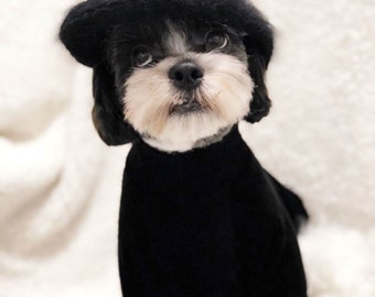 dog black turtleneck