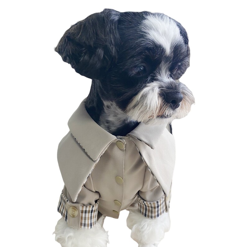 Brown Classic Trench Coat for Dog/small Dog Trench Coat/dog Etsy