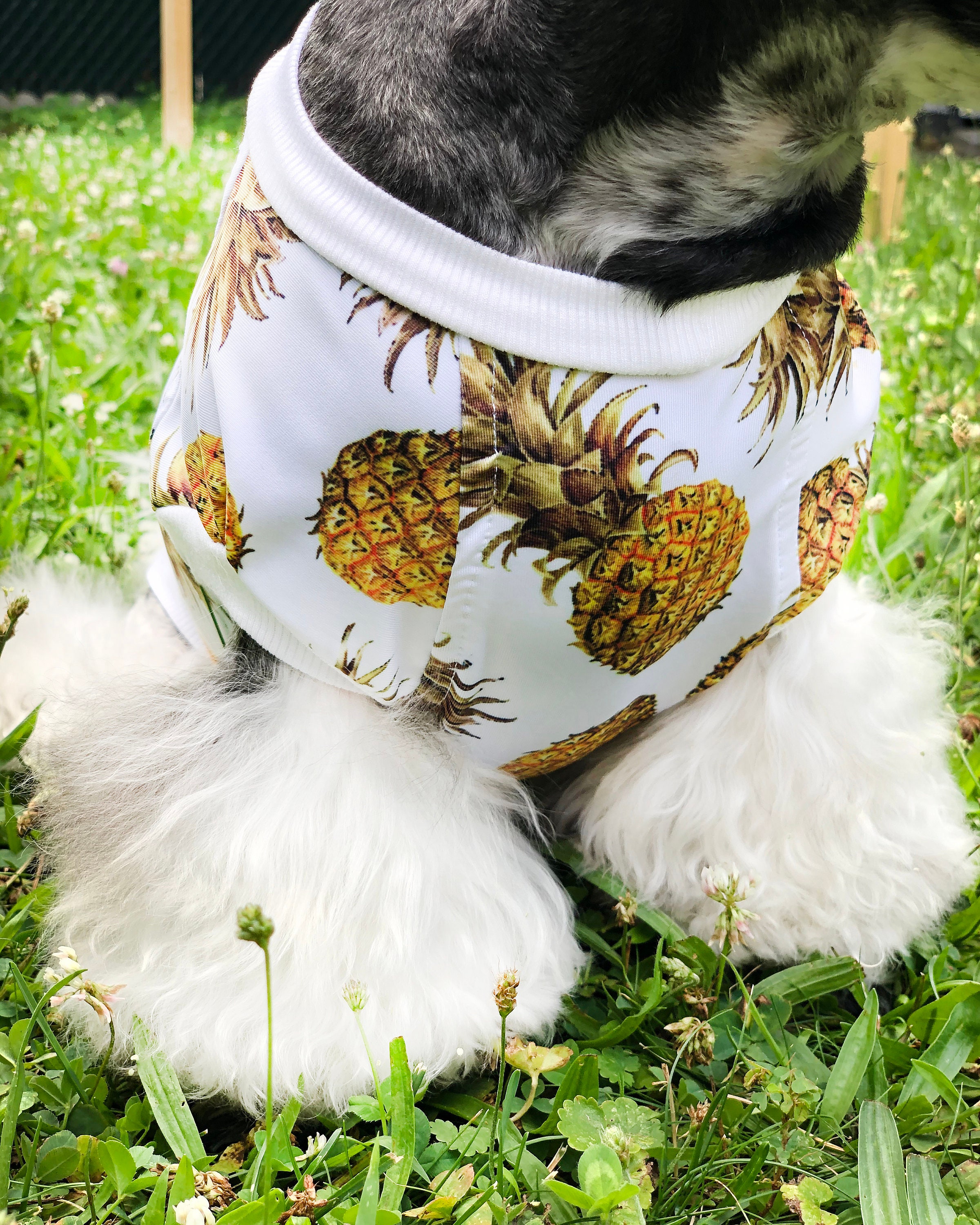 Dog sun shirt UV protection Summer dog shirts XSSMLXL Etsy