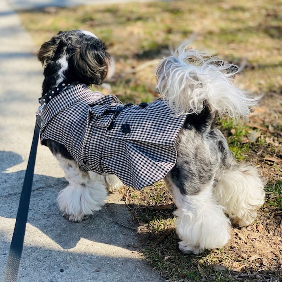 Best dog clothes hotsell