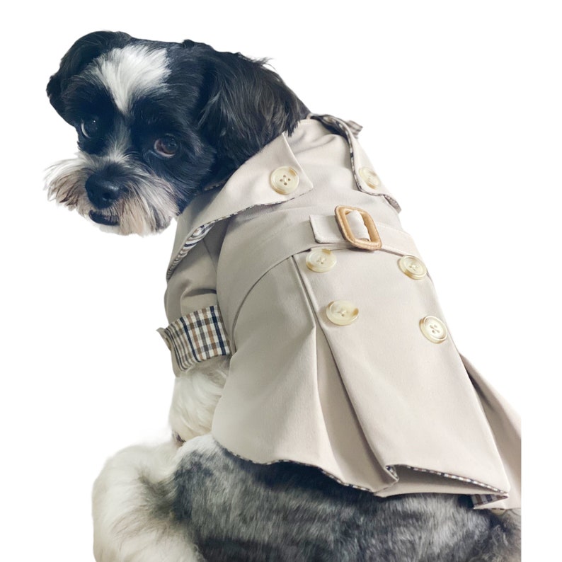Brown Classic Trench Coat for Dog/small Dog Trench Coat/dog Etsy