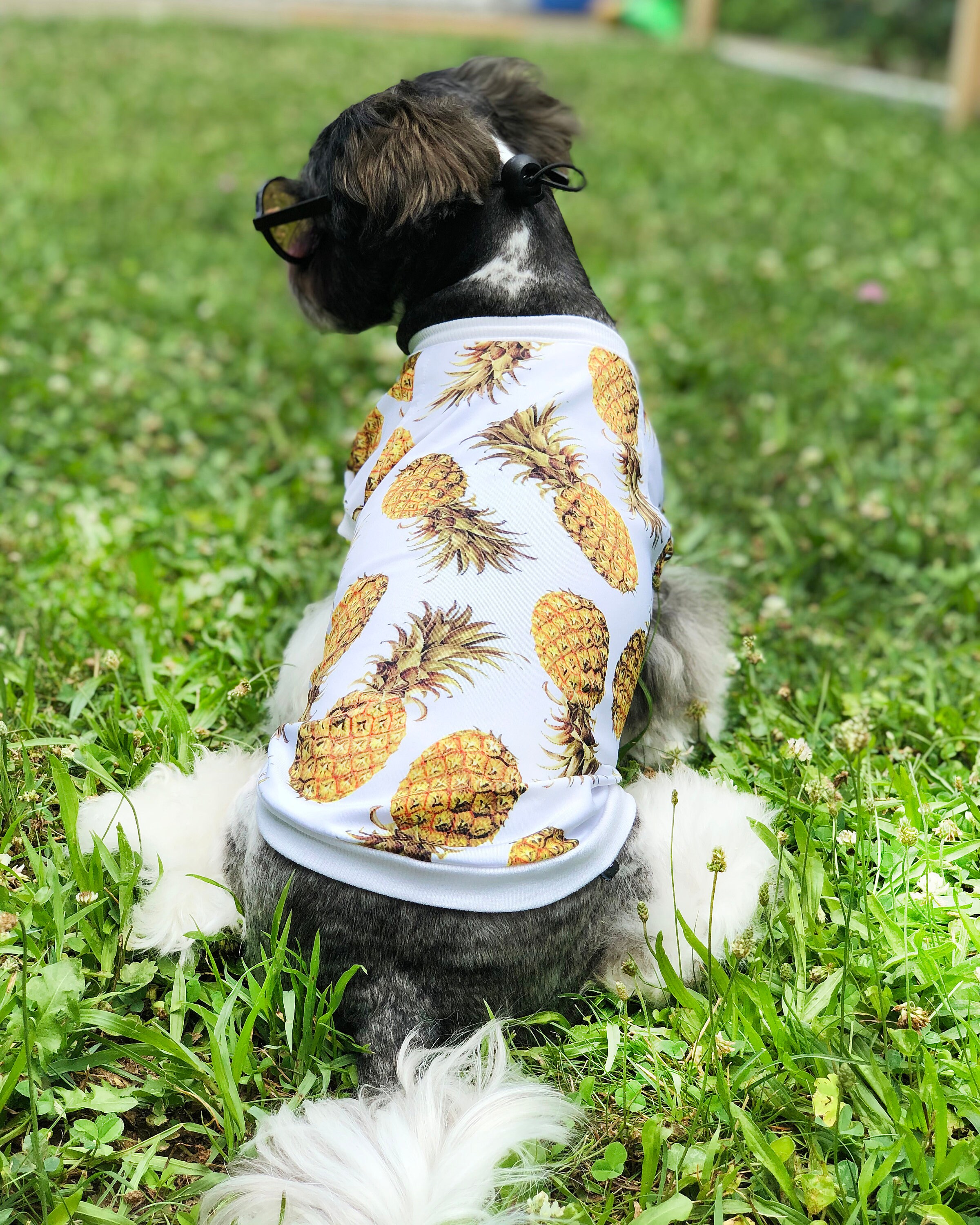 Dog sun shirt UV protection Summer dog shirts XSSMLXL Etsy