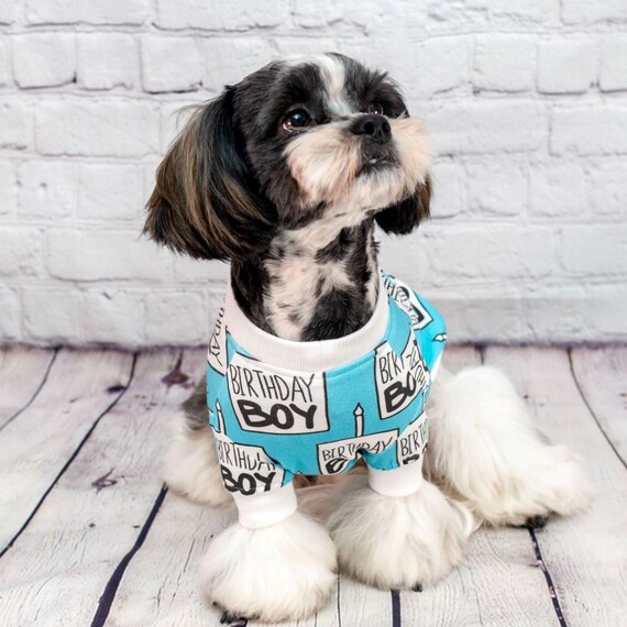 birthday boy dog shirt