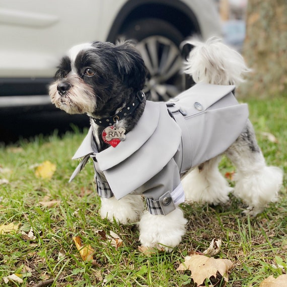 Gray Modern Classic Dog Trench Coat Gray Modern Classic Dog Trench Coat, Dog Trench Coat Costume