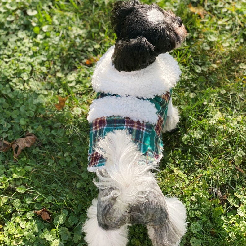 Jingle Bells Harness Fur Coat/ Small Dog Harness Coat/ Etsy