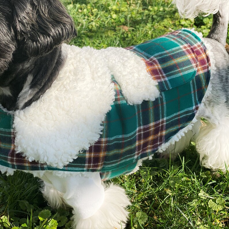 Jingle Bells Harness Fur Coat/ Small Dog Harness Coat/ Etsy