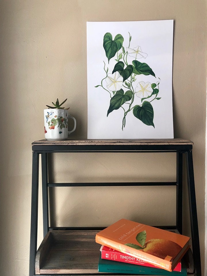 Botanical Art Print | Etsy