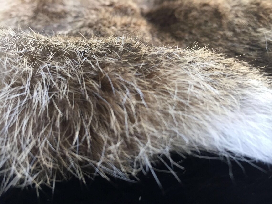 Real Fur Natural Rabbit Fur Skin Tanned Pelt Leather Hides DIY Etsy