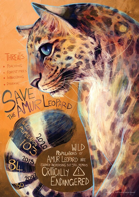 Save the Amur Leopard Poster print - Etsy
