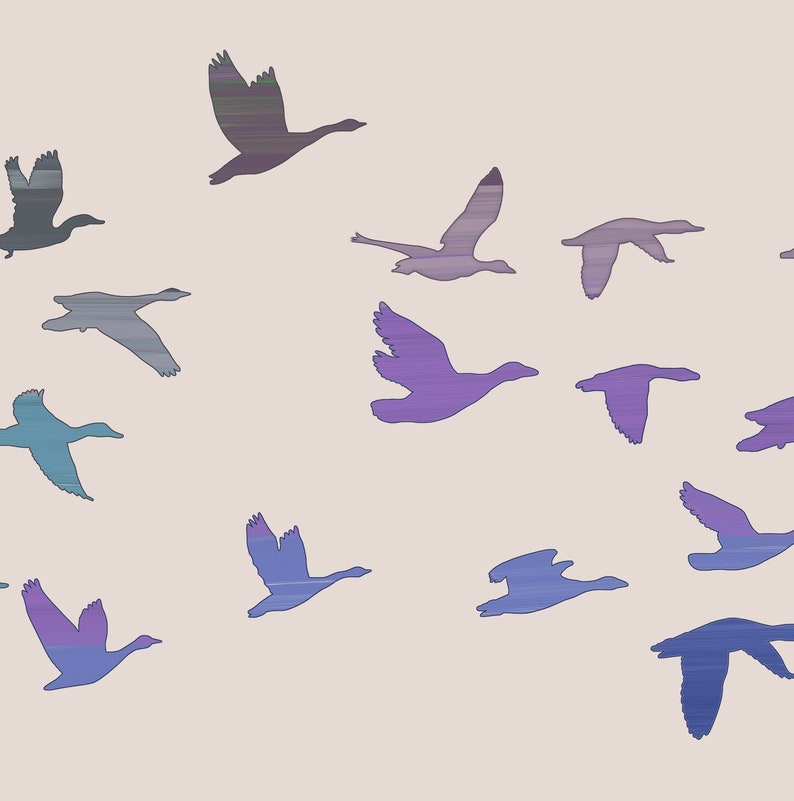 Large Horizontal Wall Art Bird Prints Wall Art Long Narrow Etsy