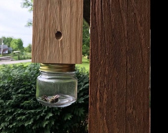 Boring /Wood Bee Trap - FREE Shipping