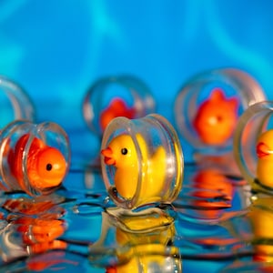 Puede incluir: Un grupo de juguetes de patos de goma y peces de colores se muestran en recipientes de plástico transparente. Los recipientes flotan en un líquido azul, creando una escena caprichosa y lúdica.