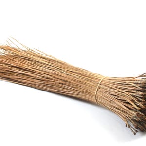 May include: A bundle of dried, light brown pine needles tied together with a thin, tan-colored string. The needles are long, slender, and arranged in a dense, cylindrical cluster, with the woody bases gathered at one end of the bundle.