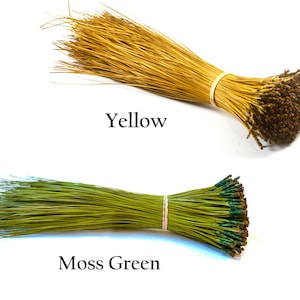 Up to 16 inches Florida Long-leaf Dyed Pine Needles for basket making, many fun colors to choose from, 4 oz (plus extra) per bundle