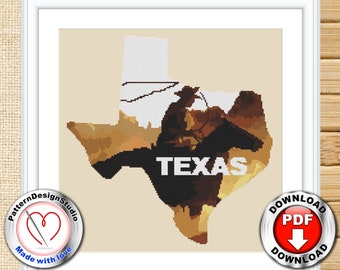 Texas ornament Modern Counted Cross Stitch Pattern Nature cross stitch, Embroidery Design Landscape Modern Cross stitch Digital File PDF
