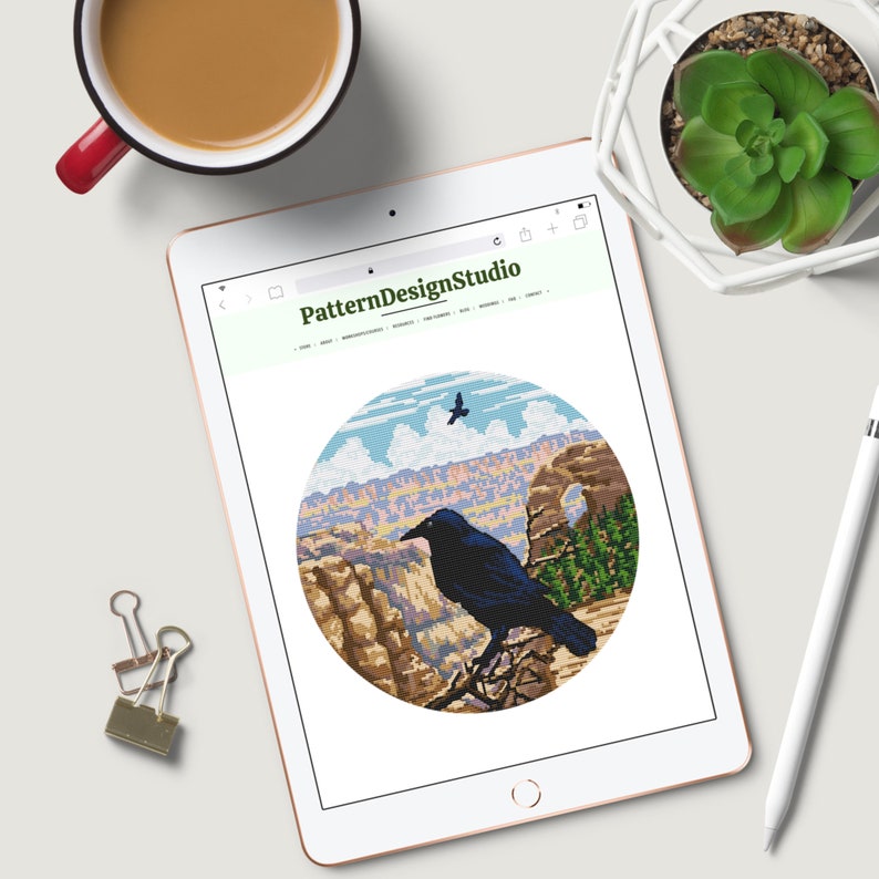 May include: A digital illustration of a black raven perched on a branch overlooking a canyon landscape. The raven is facing right and has a dark gray beak. The background is a colorful depiction of a canyon with a blue sky and white clouds.