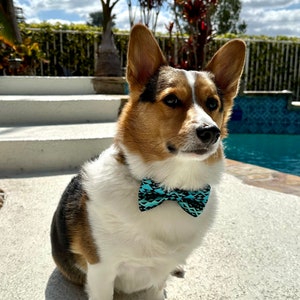 Chocolate Chip Cookie Pattern Dog Bow Tie / Cat Bow Tie image 3