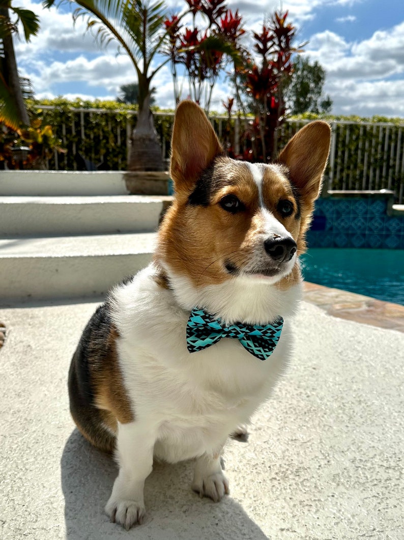 Chocolate Chip Cookie Pattern Dog Bow Tie / Cat Bow Tie image 3