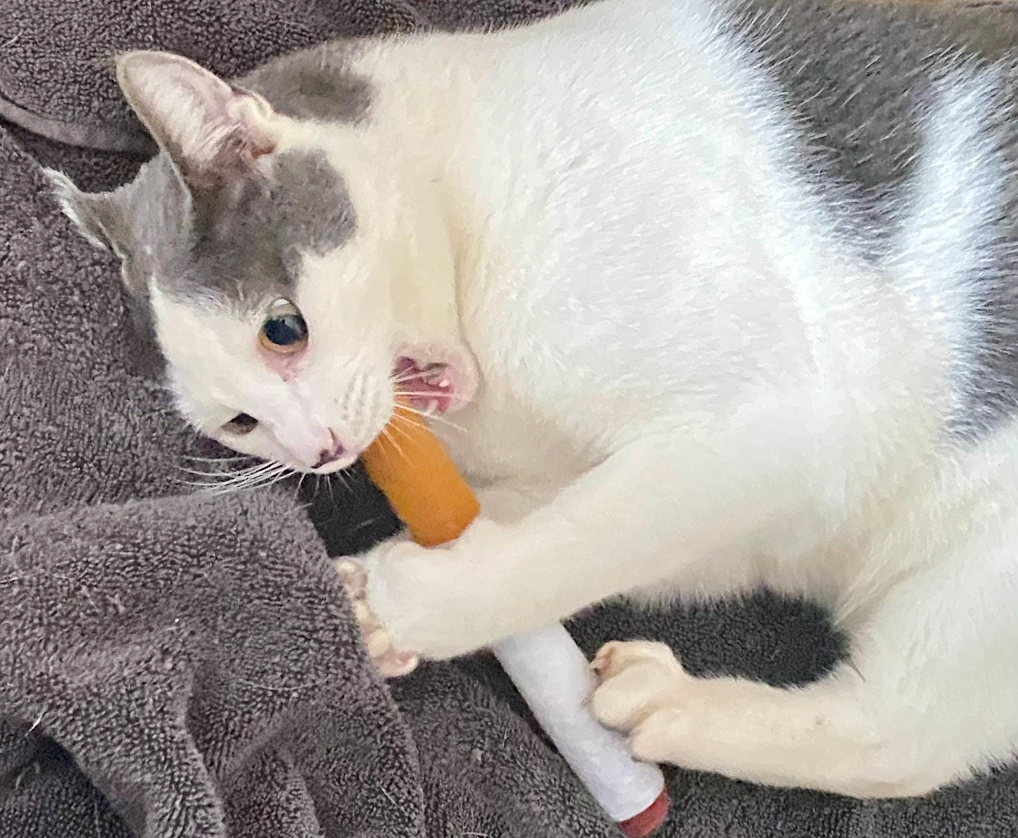 Big Ol' Felt Cigarette Handmade Cat Toy!