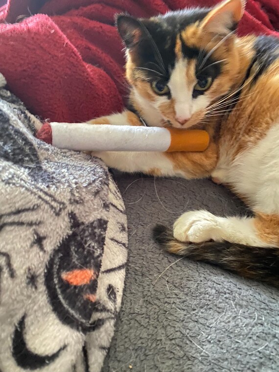 Felt Cigarette Cat Toy!