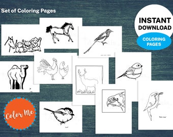 Bundle of 30 - Color Your Own Printable Coloring Animal Pages, Set of 30 Pages Hand Drawn, Instant Download