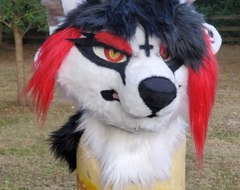 Custom Toony Fursuit Head