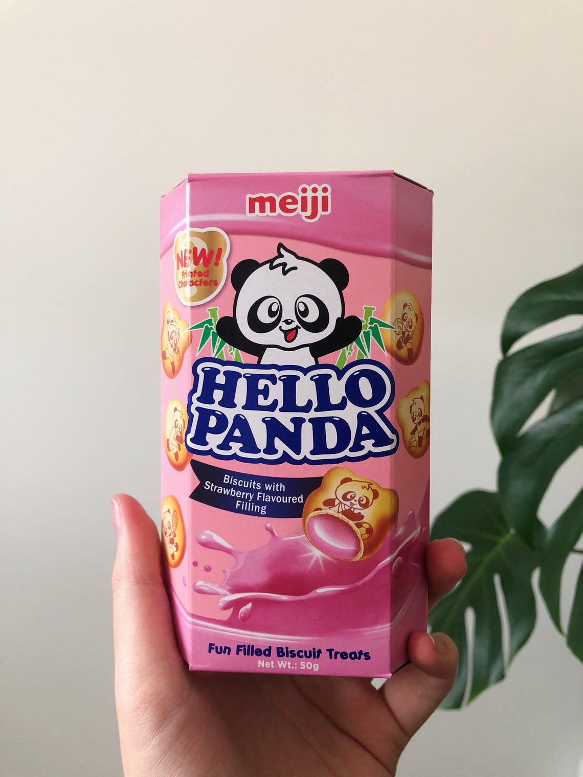 Japanese Korean snack box Asian snack box Hello Panda Etsy