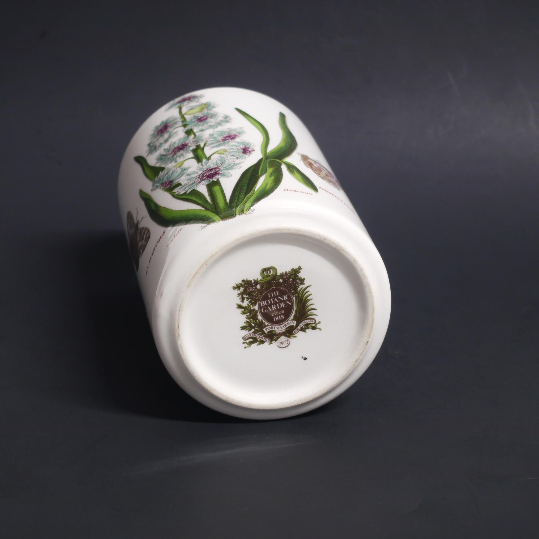 Portmeirion the Botanic Garden Circa 1818 Vase Made in England