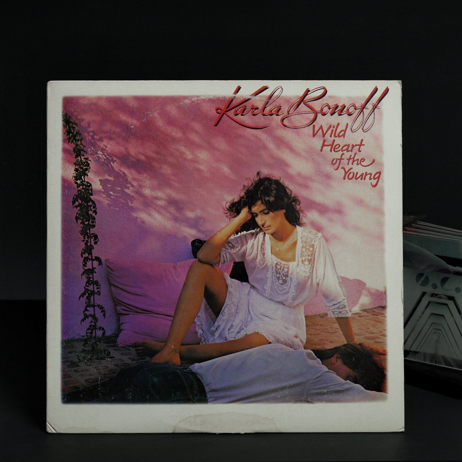 Karla Bonoff Winter Tour 1970 Tシャツ Karla Bonoff Tシャツ - メルカリ