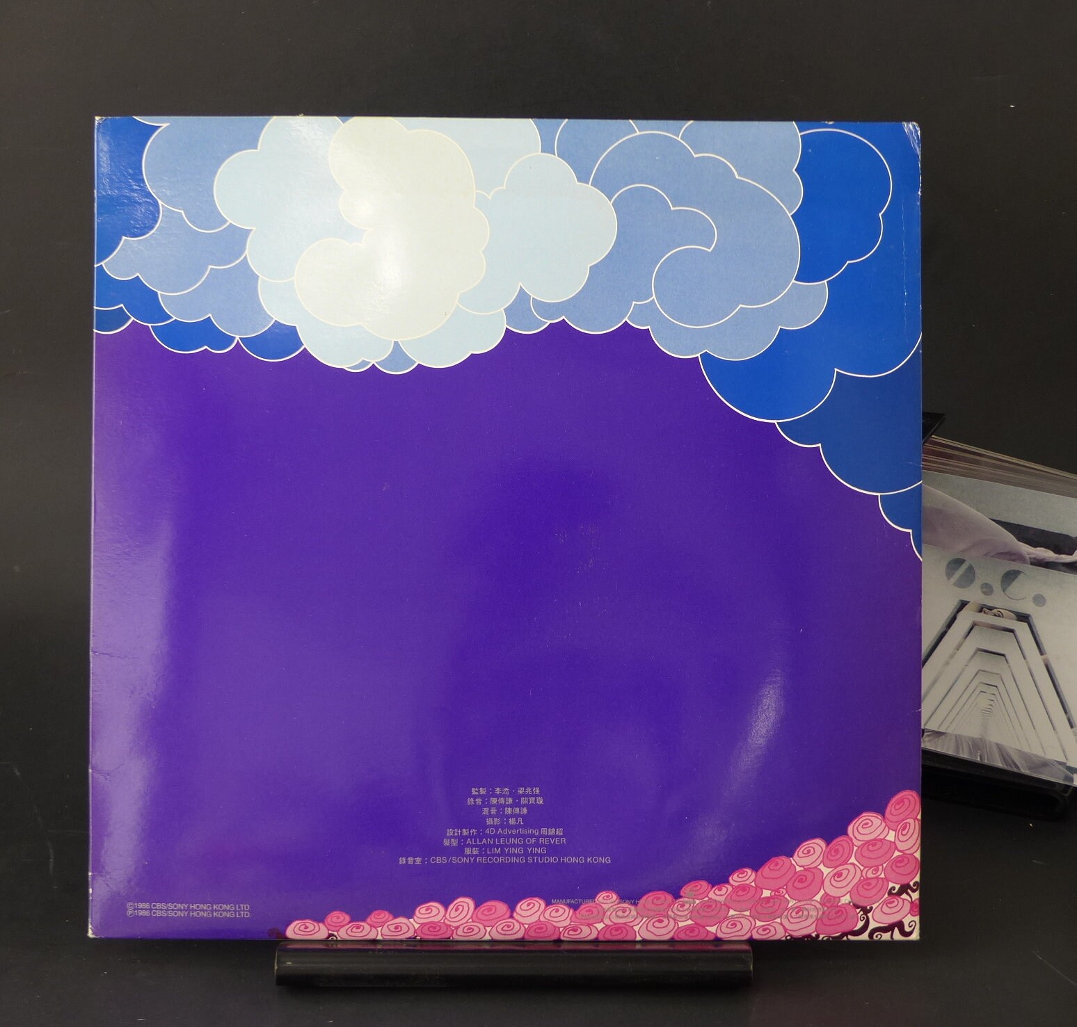 Rare Jenny Tseng Self Titled LP. Mando/cando Pop - Etsy