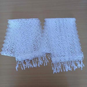 May include: Two pieces of white lace trim with a scalloped edge and fringe. The lace has a delicate floral pattern.