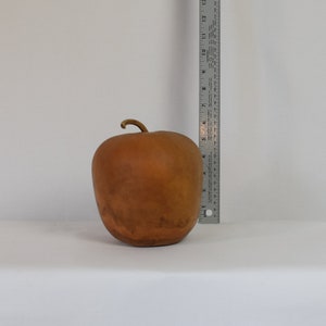 Dried Hard Shell Apple Gourd - 6" Diameter